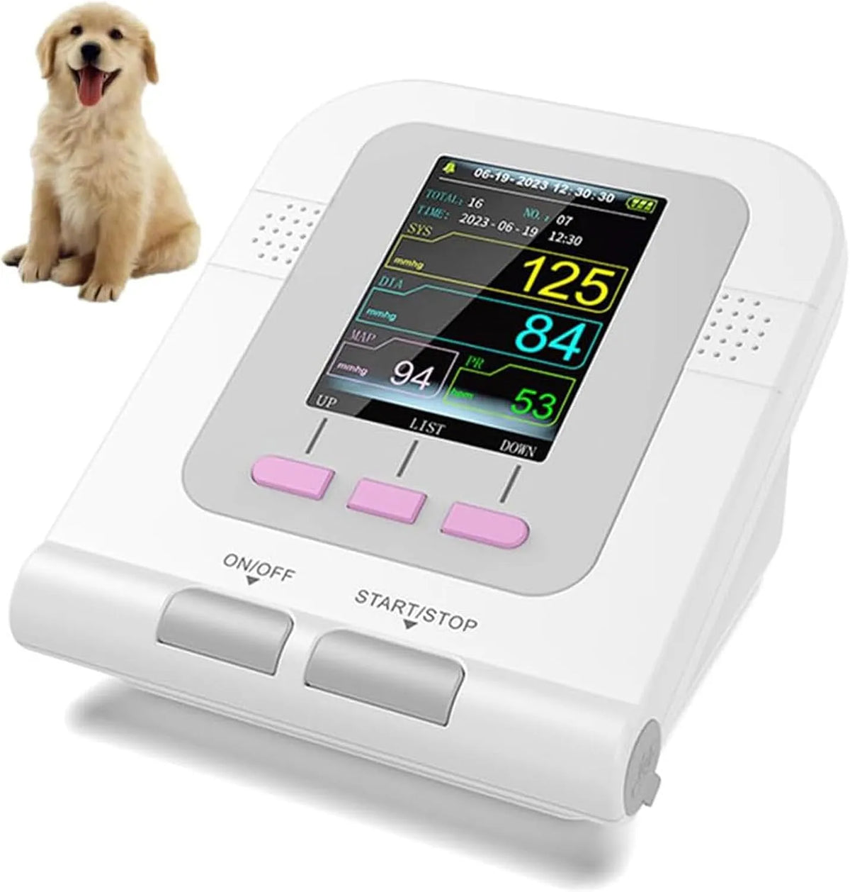 Chats et Autres Animaux de Compagnie, Soins, Tensiomètre numérique vétérinaire équipé de 3 brassards et écran LCD de 2,8 Pouces pour Chiens