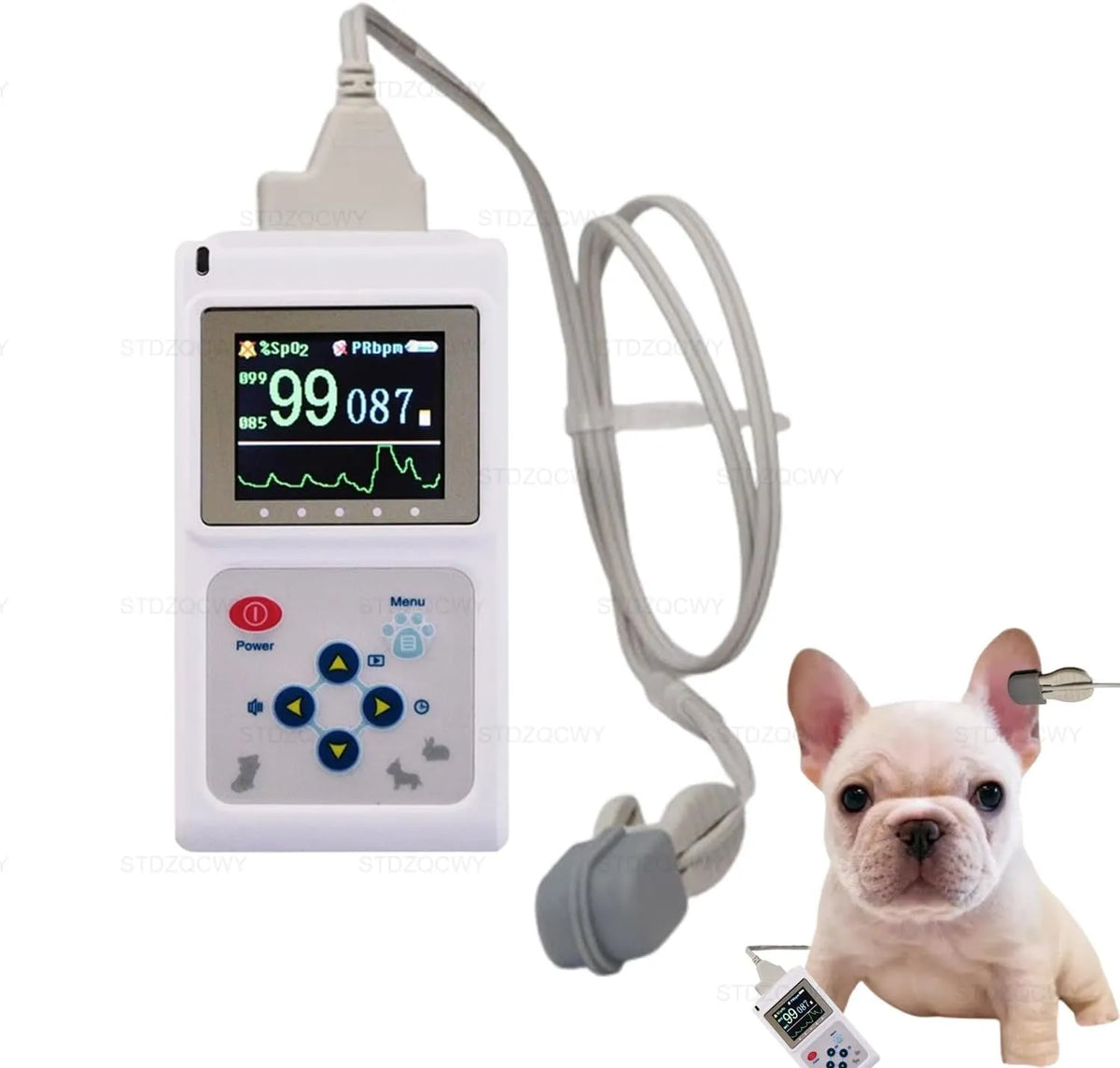 Moniteur SpO2, portable, écran pour ordinateur, Moniteur Vétérinaire pour Chiens Et Chats