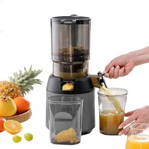 Extracteur de jus, 13 cm, 300 W, professionnel