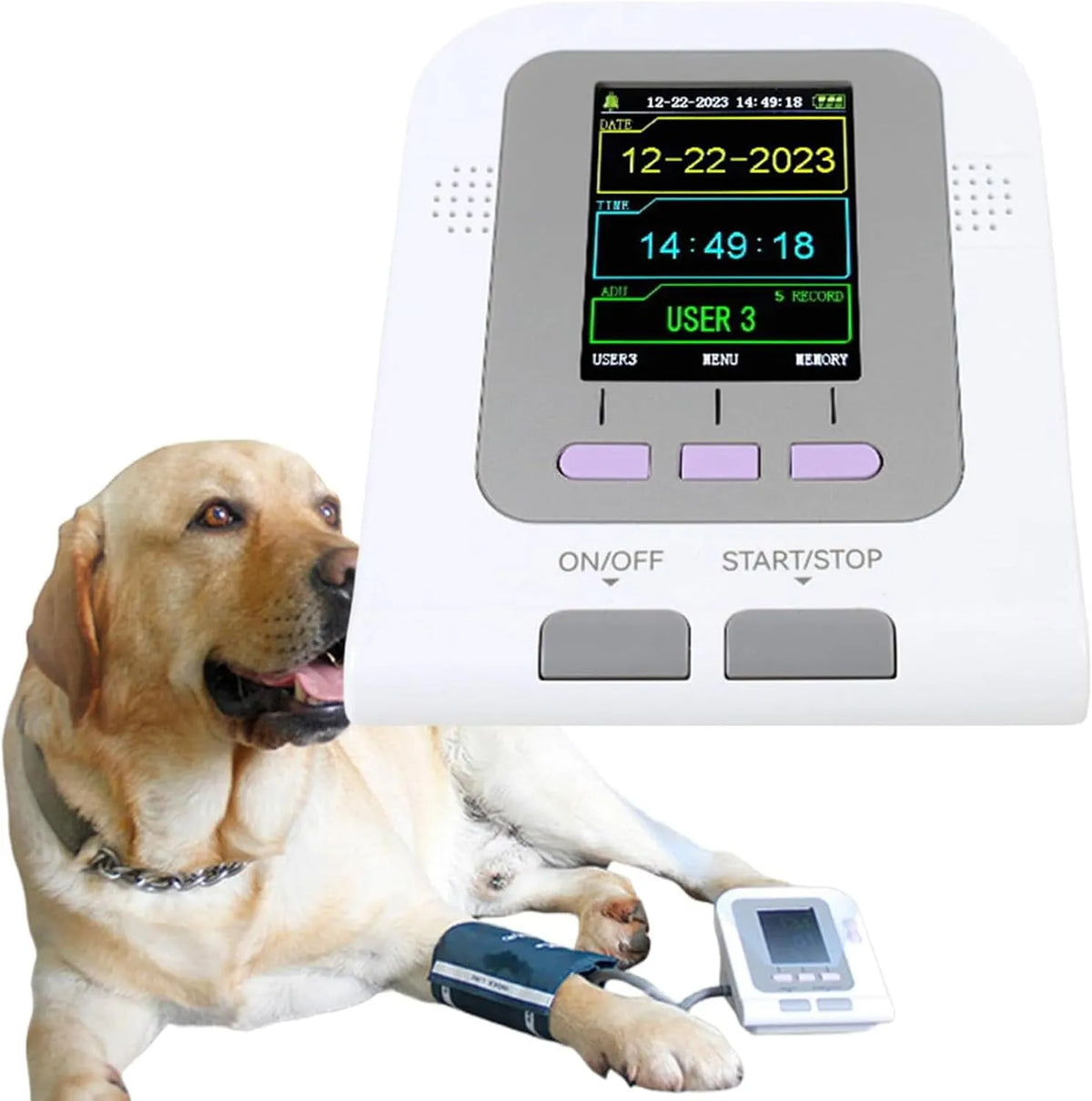 Tensiomètre Vétérinaire, Brassard Numérique Pour Animaux, Écran LCD 2,8 Pouces, Avec 3 Brassards, Sphygmomanomètre Électronique, Pour